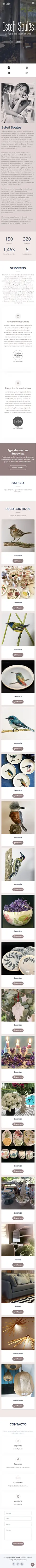 Diseño Sitios Web - Estefi Soules