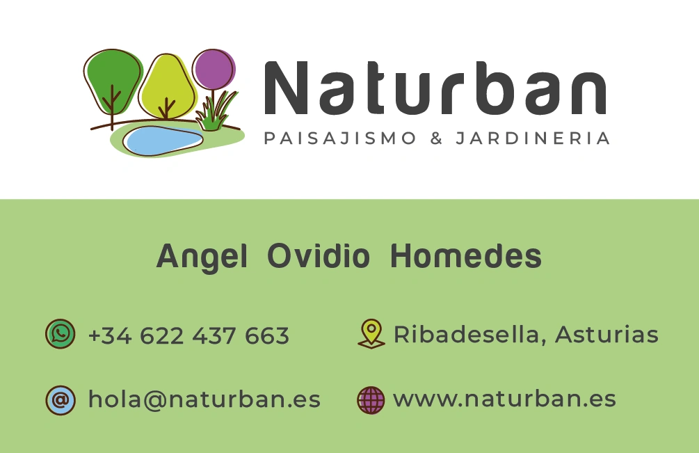 Tarjetas Personales - Natruban