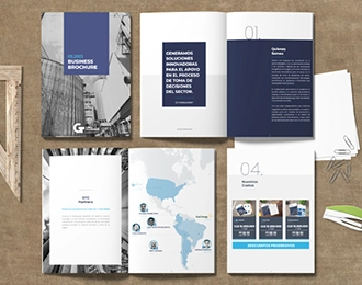 Brochure – GT Consultant - Brochure