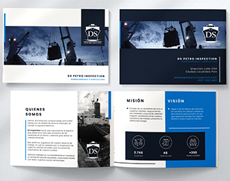 Brochure – DS Petro Inspection